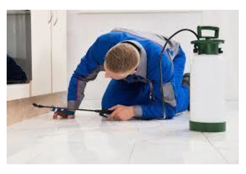 Termite Control Melbourne