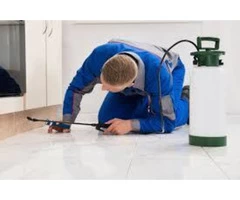 Termite Control Melbourne