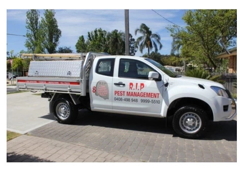 Are You Searching For The Best Cockroach Control Option? - 2/2