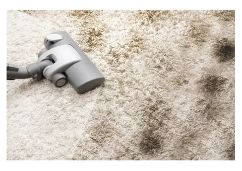 Carpet stain removal Melbourne