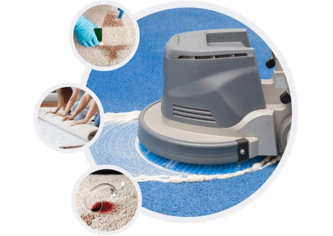 Professional Rug Cleaning Service Penrith
