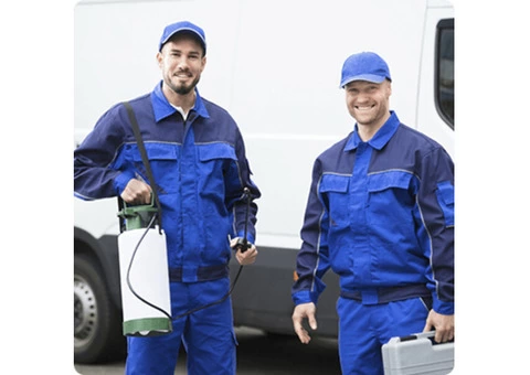 Pest Control In Melbourne