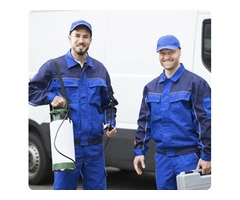 Pest Control In Melbourne