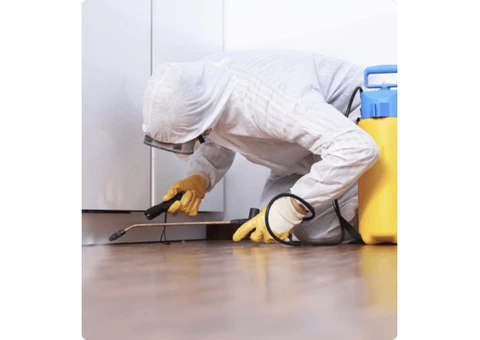 Possum Removal Professionals In Melbourne