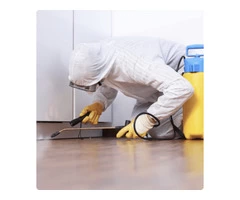 Possum Removal Professionals In Melbourne