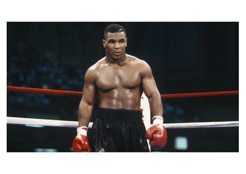 Famous Fitness & Boxing Gym in Melbourne