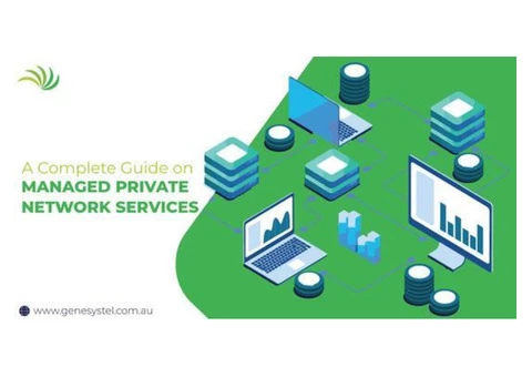 Managed Private Network Services