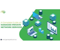 Managed Private Network Services