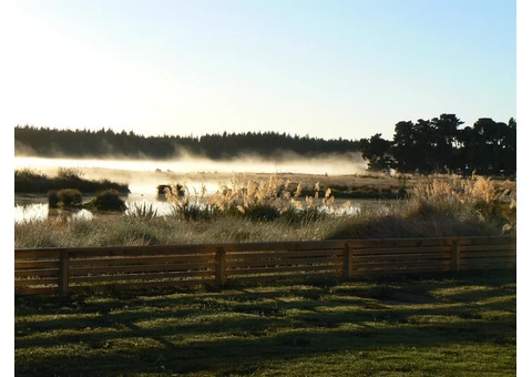 Landscaping Questions and Answers by LivingScape - 2/4