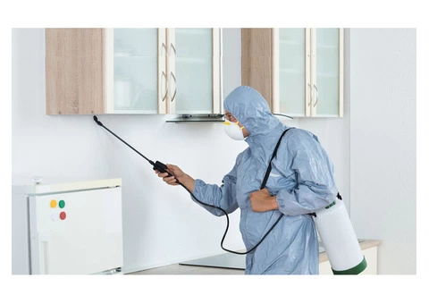 Termite Control Sydney