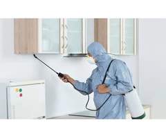 Termite Control Sydney