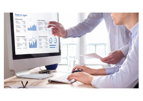 Software Consulting Services