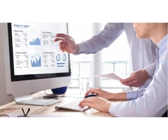 Software Consulting Services