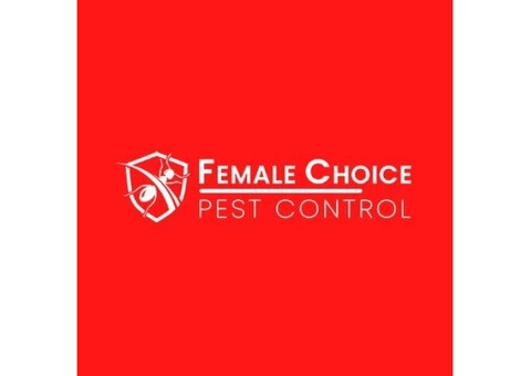 Expert Pest Control Service in Brisbane