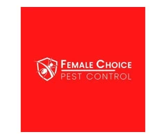Expert Pest Control Service in Brisbane