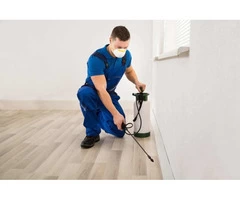 Pest Control Perth