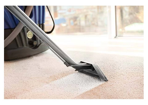 Residential Carpet Cleaning Services |  Brightandright - 2/2
