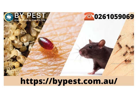 Hire Expert  Pest Control in Canberra