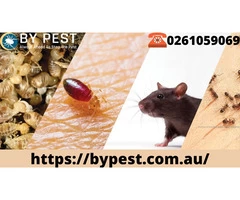 Hire Expert  Pest Control in Canberra