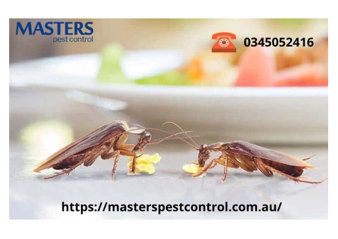 Local Pest Control in Melbourne
