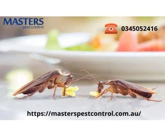 Local Pest Control in Melbourne