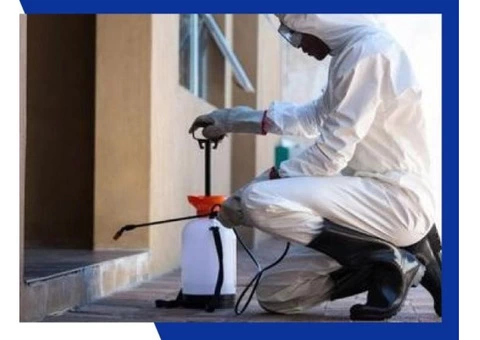 Pest Control Perth