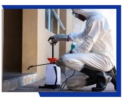 Pest Control Perth