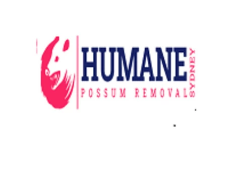 Possum Removal Sydney