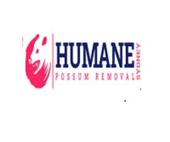 Possum Removal Sydney