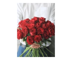 Florist Heidelberg & Gift shop