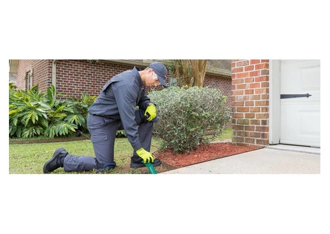 Bird Control Melbourne