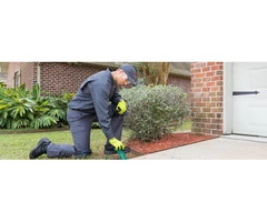 Bird Control Melbourne