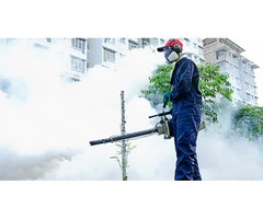 Pest Control Perth