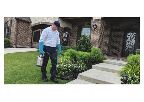 Termite Control Melbourne - 1/3