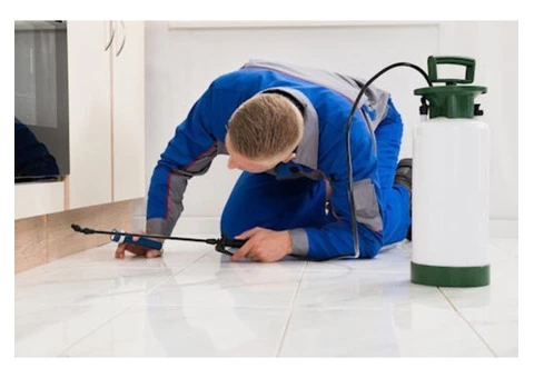 Termite Control Melbourne - 2/3