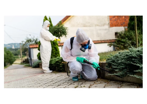 Termite Control Melbourne - 3/3