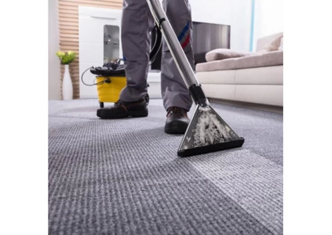 Exclusive Carpet Cleaning in Melbourne: 100% Quality & Professional