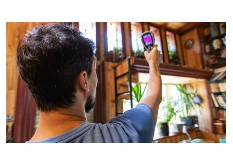 Mould inspection of your home or workplace | Building Harmony - 2/4