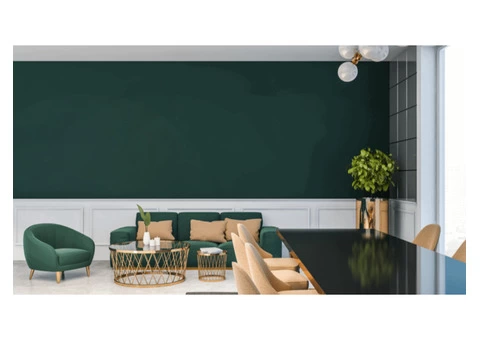 Mould inspection of your home or workplace | Building Harmony - 4/4