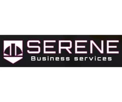 Small Business Consulting Services