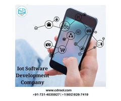 Grow Your Business With IoT Development Services