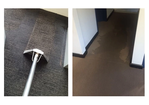 Flooded Carpet Cleaning Sydney