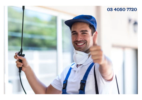 Want to Get Rid of Pest Infestation?