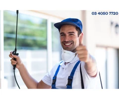 Want to Get Rid of Pest Infestation?