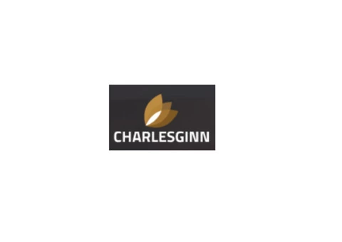 Charles Ginn Art Solutions - 1/3