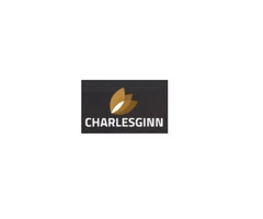 Charles Ginn Art Solutions