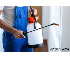 Looking for Pest Control Services in Castle Hill?