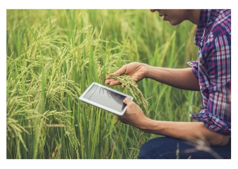 Want to hire crop cleaning experts in Balaklava?