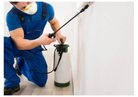 Pest Control Redland Bay