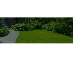 Professional Gardening Services | Garden Maintenance Melbourne | Bayside Gardening
